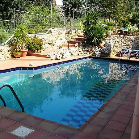 Bicorna - Chania Plaka (Apokoronas)
